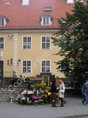 R040924 (2)