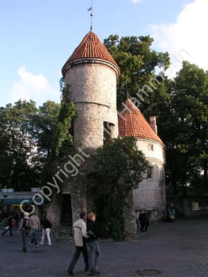 Tallinn (103)