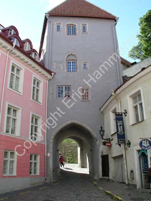 Tallinn (12)