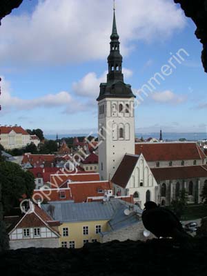 Tallinn (130)