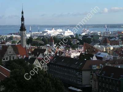 Tallinn (131)