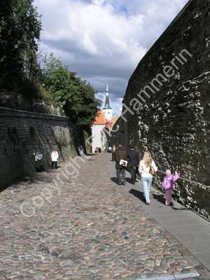 Tallinn (16)