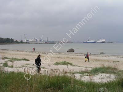 Tallinn (165)