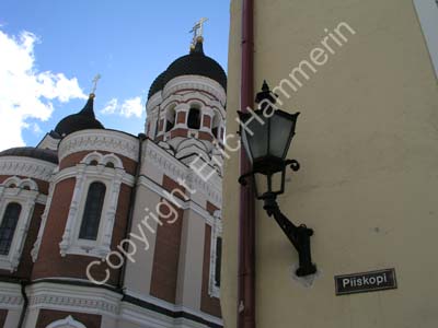Tallinn (18)
