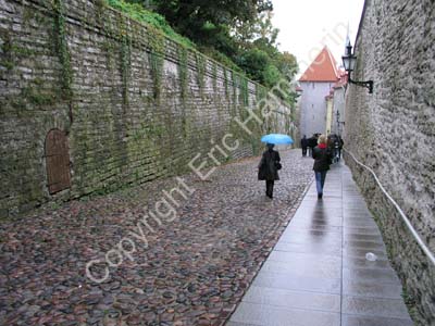 Tallinn (186)