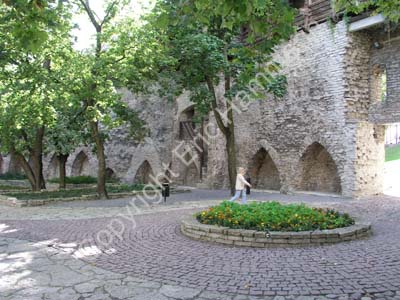 Tallinn (22)