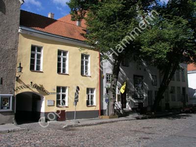 Tallinn (4)