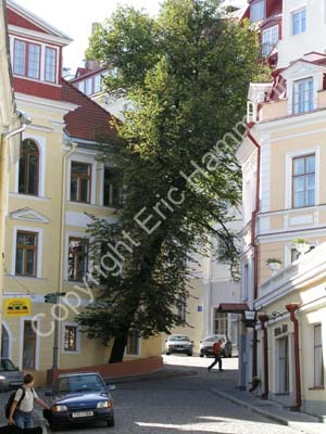 Tallinn (73)