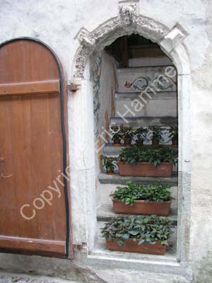 Tallinn (84)